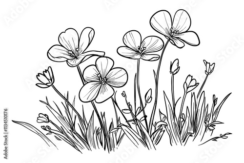 Adobe Illustrator Artwork