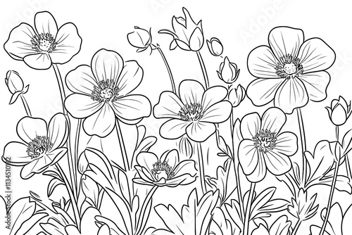 Adobe Illustrator Artwork