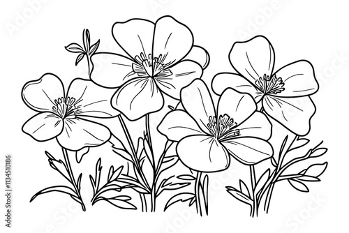 Adobe Illustrator Artwork