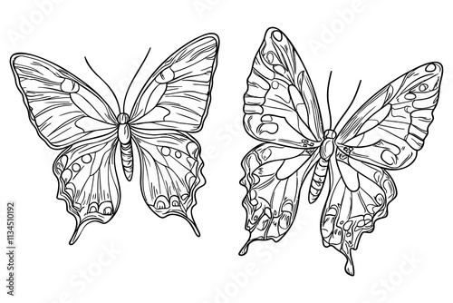 Adobe Illustrator Artwork
