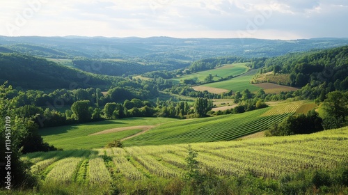 France pioneers the organic food industry by offering high-quality, eco-conscious products