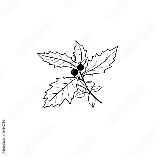A line drawing of a black and white leaves and berries.