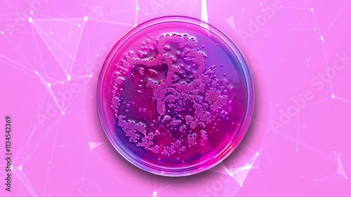 Petri dish close-up. The concept of laboratory research. Petri dish background. Deep shadows. Laboratory. Petri dishes. Top view. Space for copying text. Generate AI.