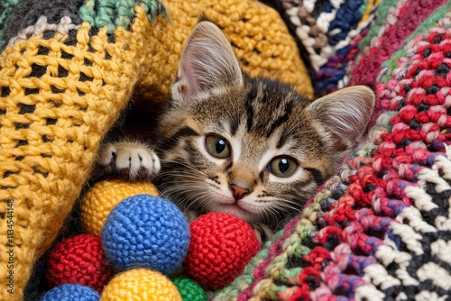 Playful Tabby Kitten Cozy in Colorful Knitted Blankets with Yarn Balls in Warm Environment photo