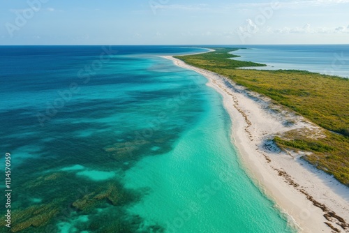 Aerial View of Serene Tropical Beach with Crystal Clear Water and Lush Green Coastal Vegetation Stretching into the Horizon under a Blue Sky