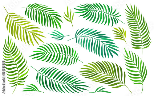 Palm leaves flat set. Jungle foliage green silhouette set isolated on white. Tropical exotic plant leaf for wedding greeting cards, wrappers, fashion print. Hand drawn tropic summer floral element