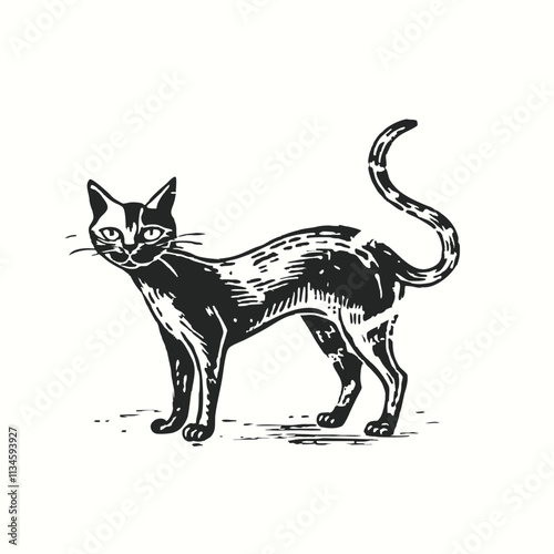 Sleek Cat Silhouette Design icon vector for web and mobile app