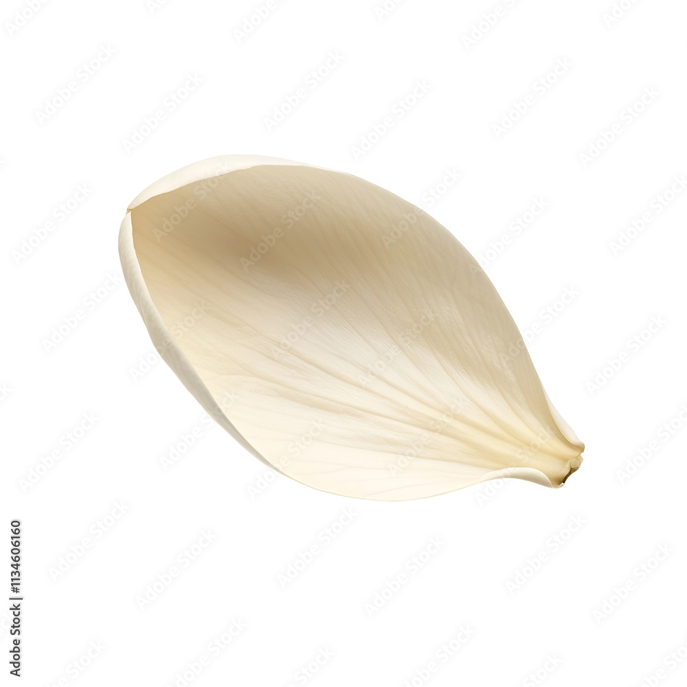 Naklejka premium Single White Petal Isolated On Black Background