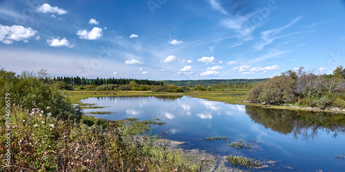 Summer River Reflecting the Blue Sky, with Wild Grass Along the Banks