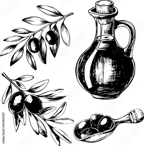 Vector outline. Still life of olive oil in a glass jar and sprigs of fresh olives bottle with olive oil and olive sprig in ink.Silhouette of a glass bottle and an olive branch. hand graphics