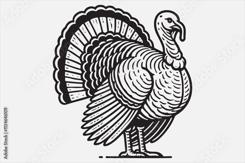 A black and white line art illustration of a turkey standing upright.