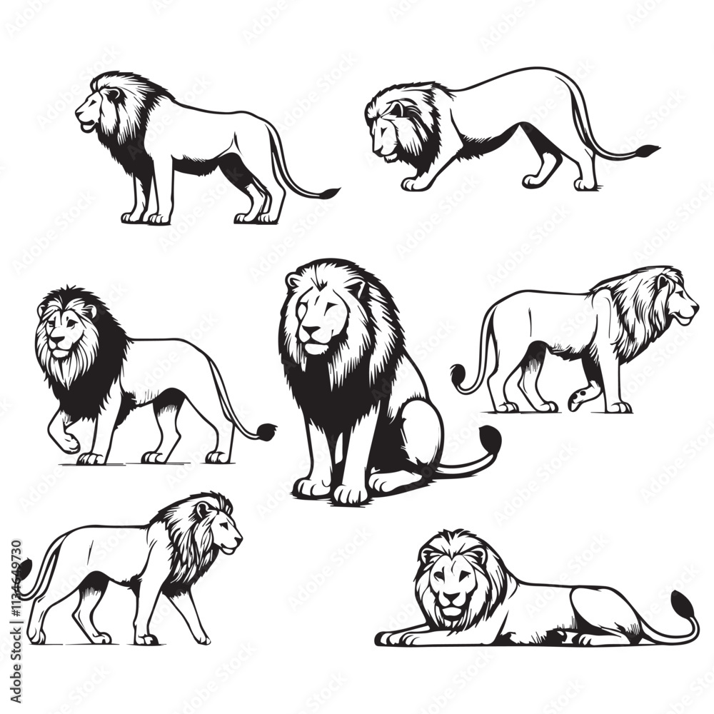 Obraz premium ilustration Lion Set of vector illustrations isolated on white background.
