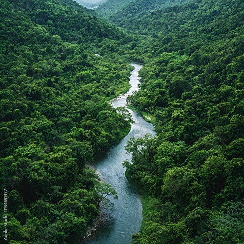 Flowing river in dense forest