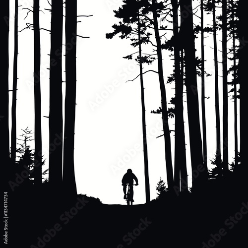 Silhouette of a cyclist riding through a forest