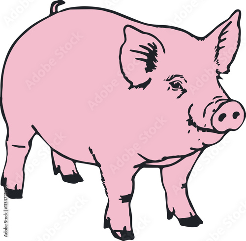 Cute animal illustration of a pink pig character