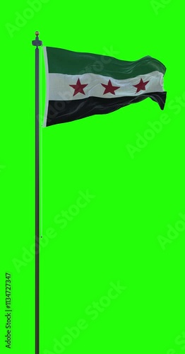 Seamless loop green screen of the new flag of Syria waving on a pole. 