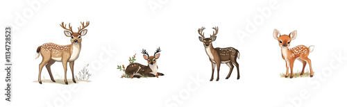 Wallpaper Mural Set of a cute wild animals isolated on white background, Clipart of a cute deers in pastel colours, perfect for educational materials, children's books Torontodigital.ca