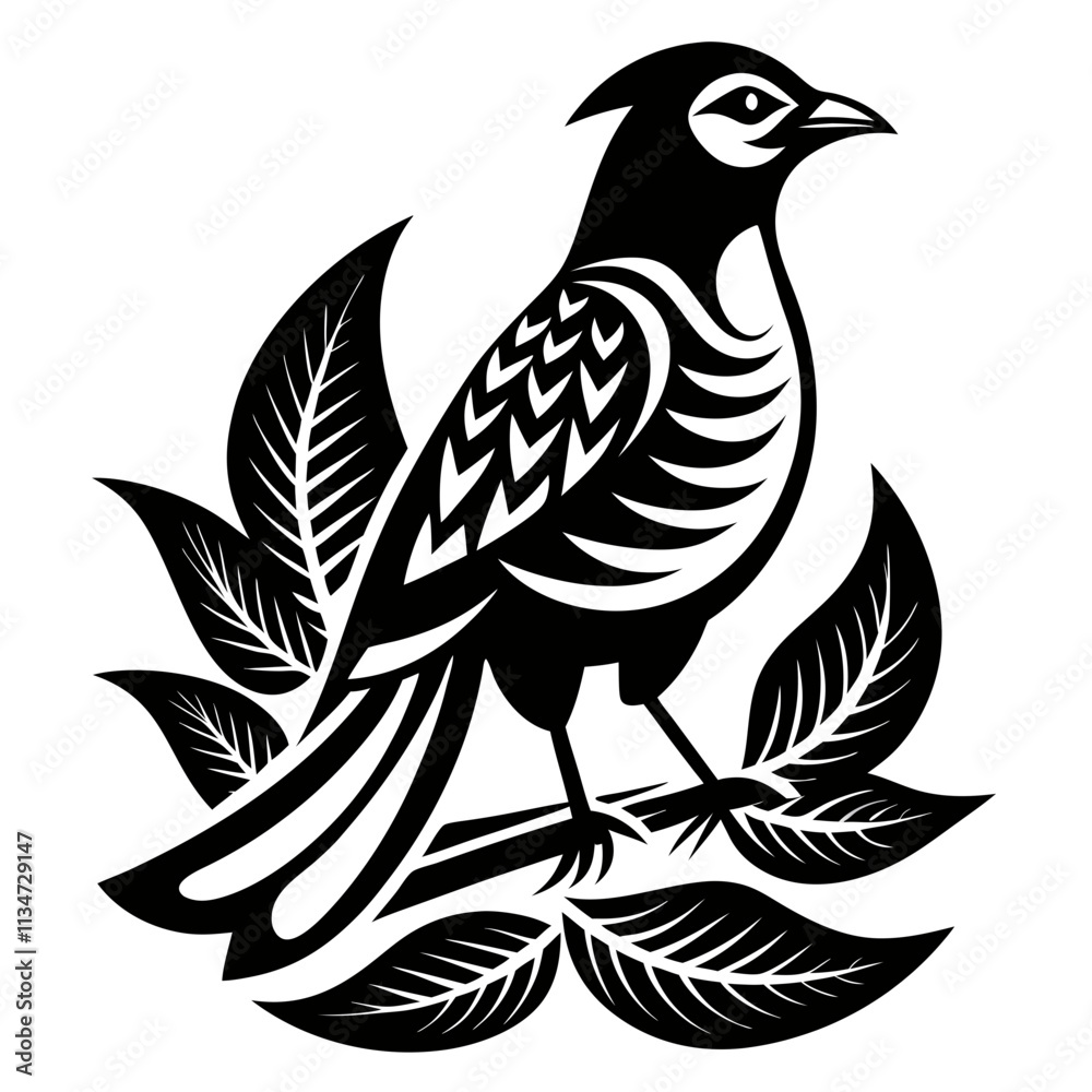 Obraz premium Rufous-Bellied Thrush silhouette