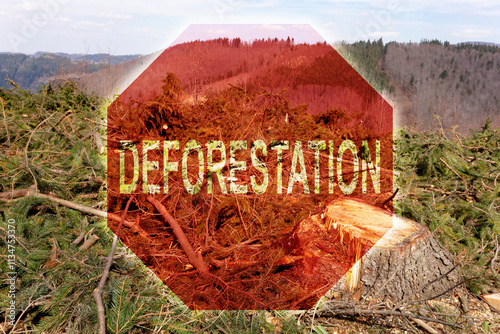 Obraz na płótnie Stop deforestation sign above damaged remains of forest w salonie