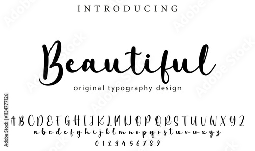 Beautiful Font Stylish brush painted an uppercase vector letters, alphabet, typeface