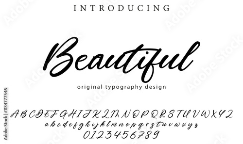 Beautiful Font Stylish brush painted an uppercase vector letters, alphabet, typeface