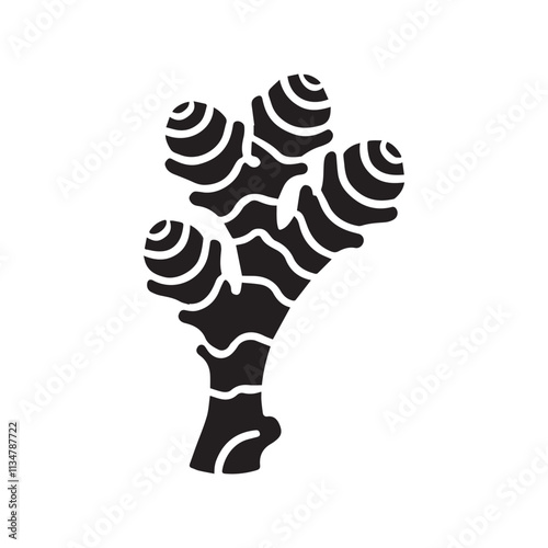 Ginger logo. Isolated ginger on white background