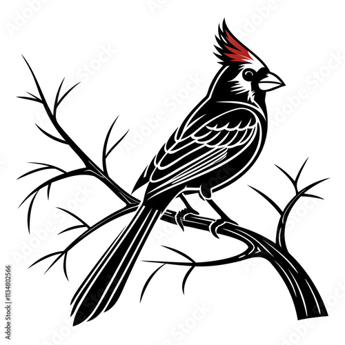 Cardinals Bird Black Vector Silhouette isolated on a transparent background