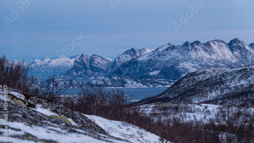 snow covered mountains