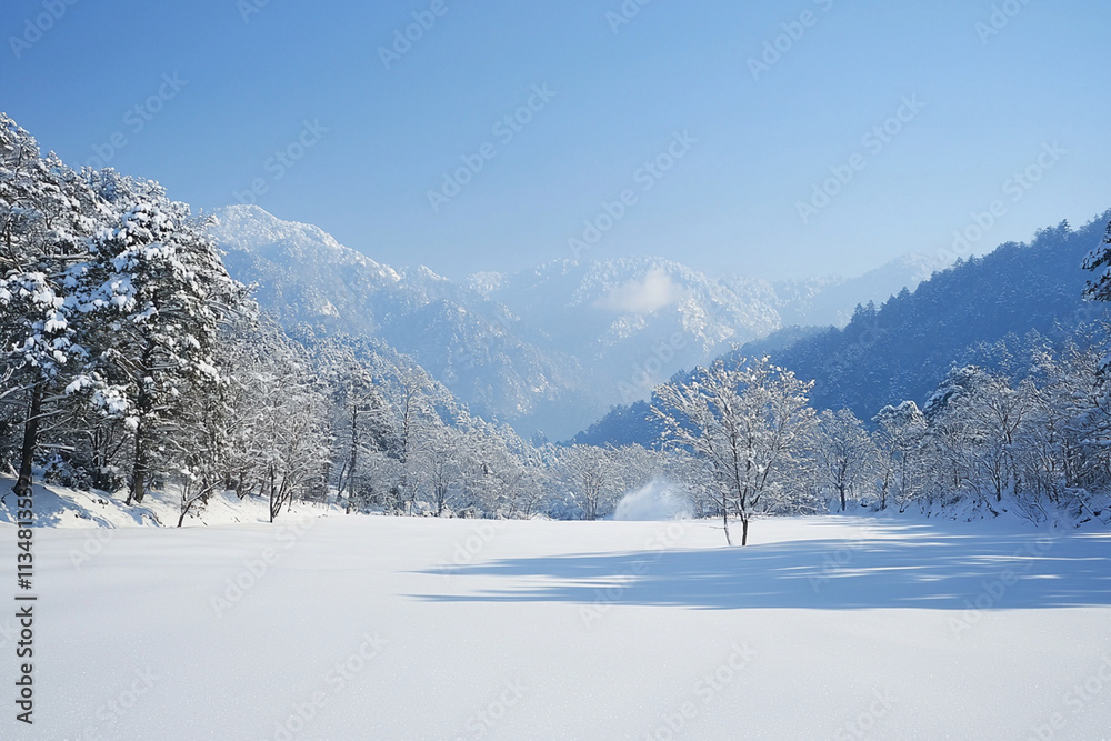 Fototapeta premium Snow slide descends from serene mountain landscape