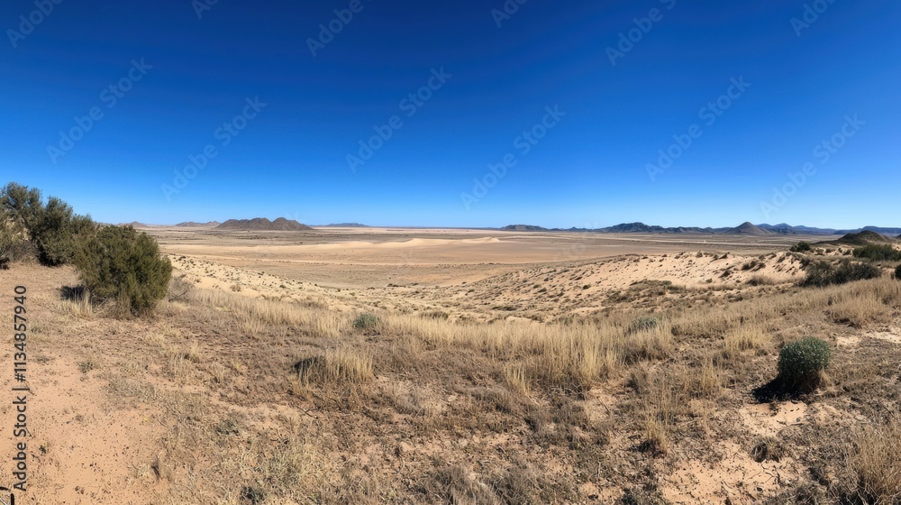 Exploring the vast desert landscape namib desert photography natural environment panoramic view