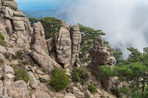 Aussicht mit steilen Felstürmen und Schwarzkiefern in den Bavella Bergen, Korsika photo