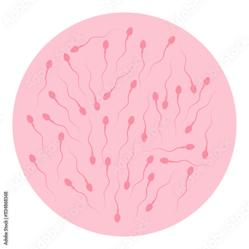 Normal sperm count icon isolated white background