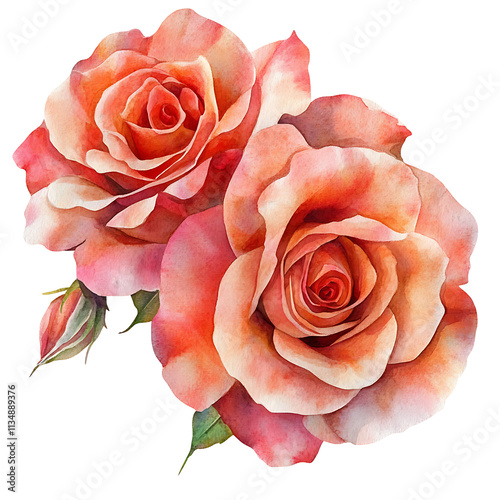 Vibrant summer flowers watercolor art blossoming roses nature's beauty floral arrangement soft palette artistic expression