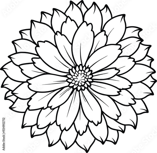 Detailed Calendula Flower Vector Illustration in Line Art