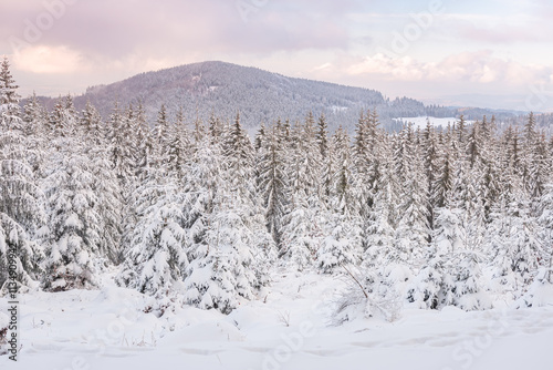 Obraz na płótnie Eastern Sudetes, View of snowy mountain from hiking trail during winter hike in the mountains, viewpoint on the winter mountain landscape. w salonie