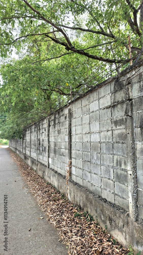 The old walls were abandoned, allowing time and nature to take over. The old walls were abandoned, allowing time and nature to take over.