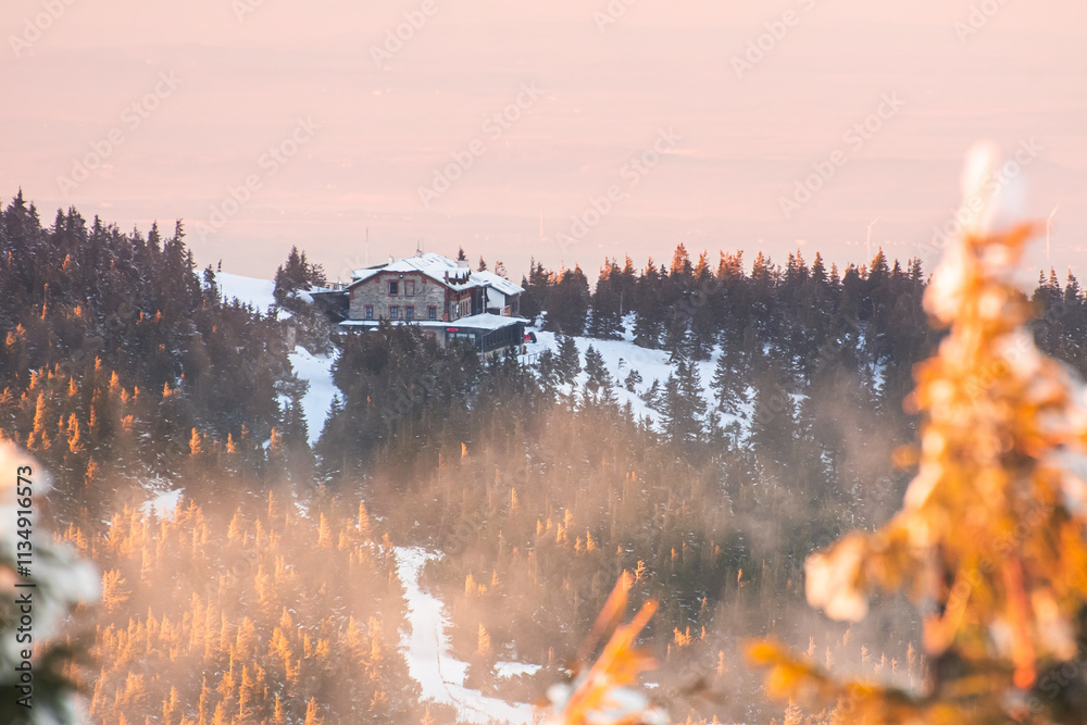 View of snow-covered forest in fog with a shelter in a clearing view from a hiking trail during a winter hike in the mountains, viewpoint on a wide winter landscape in the mountains at sunset.
