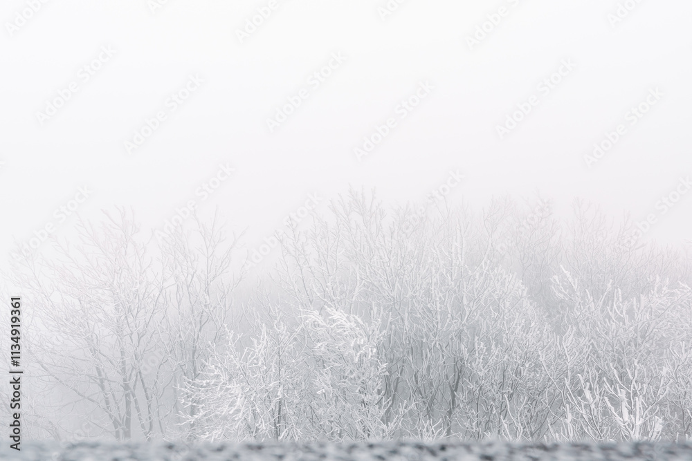 Winter landscape, white frost on trees and branches on a cold foggy day, view of the snow-covered landscape in the forest.