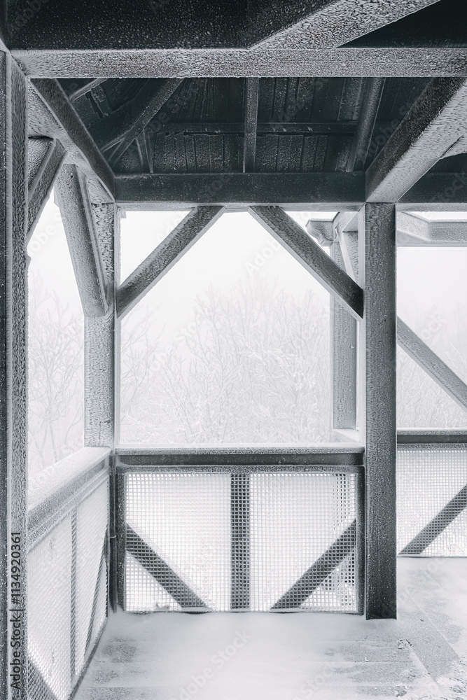 Winter landscape, white frost on wooden observation tower and tree branches, cold foggy day.