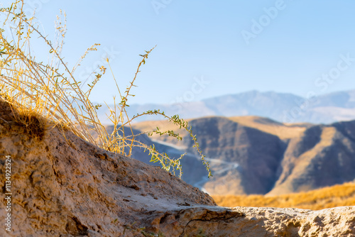 Lyered view of a rugged valley framed by arid terrain and sparse vegetation, with the majestic Kopet Dag Mountains towering in the background under a clear blue sky in Turkmenistan. Copy space