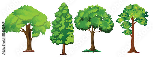 Set of watercolor of tree side view isolated on white background for landscape and architecture drawing, elements for environment and garden, botanical for section 