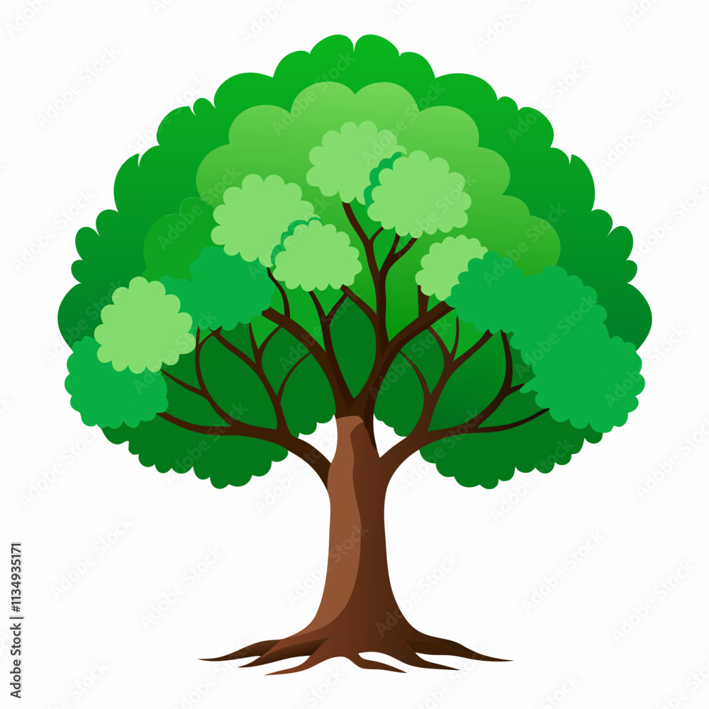 tree isolated on white tree isolated on white
