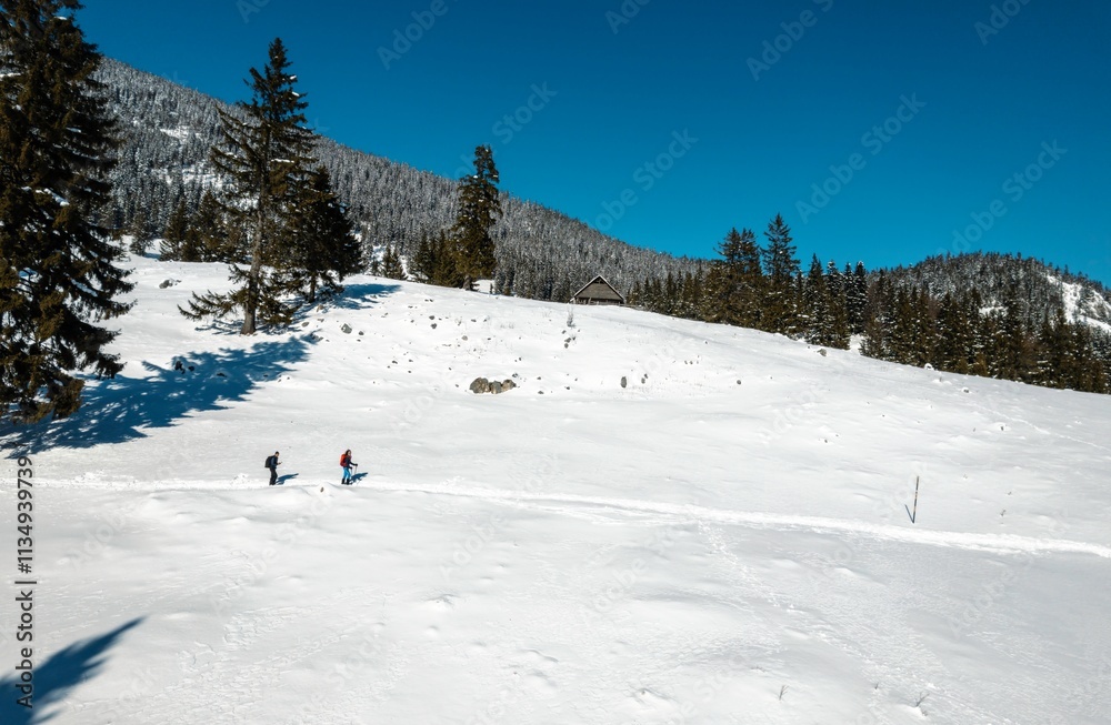 Two adventurers trek through a vast expanse of pristine snow in Piatra Craiului, surrounded by majestic mountains and tall pine trees under a brilliant blue sky Two adventurers trek through a vast expanse of pristine snow in Piatra Craiului, surrounded by majestic mountains and tall pine trees under a brilliant blue sky