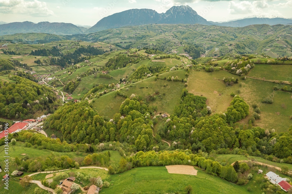 Expansive green hills and valleys stretch beneath the Piatra Craiului mountain range in Rasnov, Brasov, showcasing nature's beauty and tranquility Expansive green hills and valleys stretch beneath the Piatra Craiului mountain range in Rasnov, Brasov, showcasing nature's beauty and tranquility