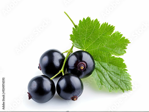 black currant isolated on white