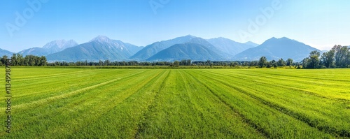 Bright Blue Skies Over Green Fields and Mountain Peaks Under Clear Conditions