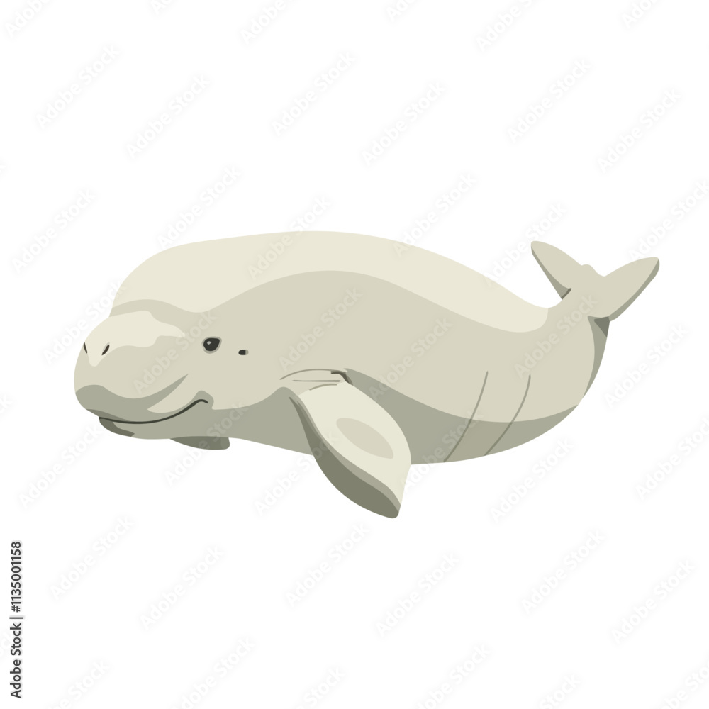 Flat vector dugong, isolated on a white background. Flat vector dugong, isolated on a white background.