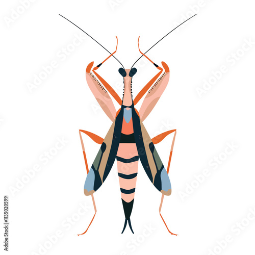 Flat vector mantis, isolated on a white background.

