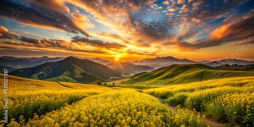 Long Exposure of a Vibrant Yellow Field atop Monjong Mountain, Capturing the Serene Beauty of Nature during Golden Hour with Dramatic Clouds in the Background photo