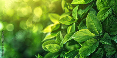 Close-up Photograph of Green Leaves with Bokeh Background